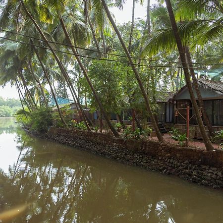פטנם Palm Trees Ayurvedic Heritage מראה חיצוני תמונה