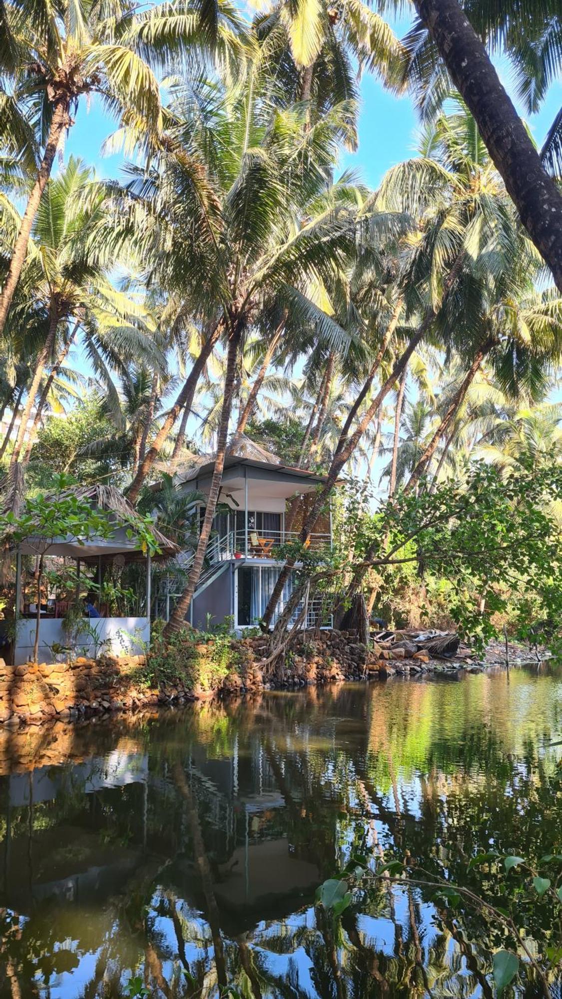 פטנם Palm Trees Ayurvedic Heritage מראה חיצוני תמונה
